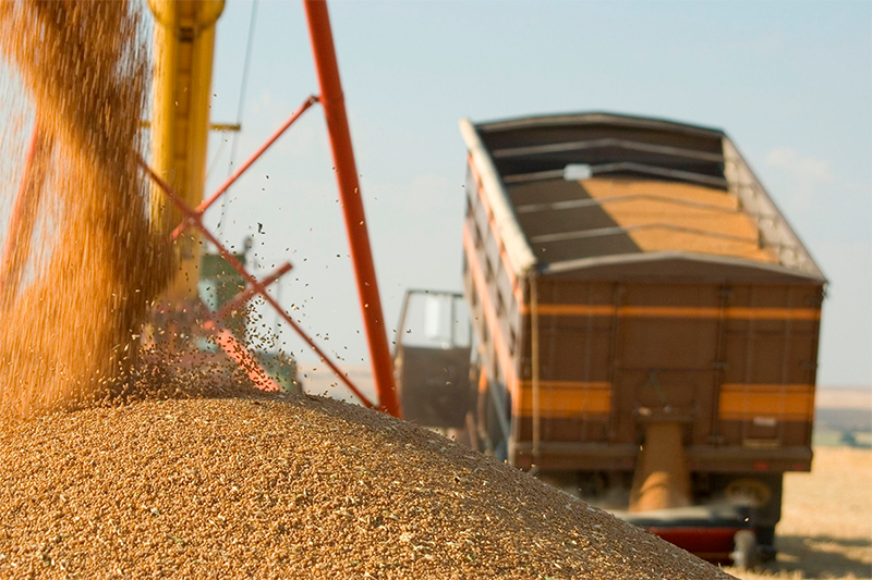 Tombador de grãos em um terminal logístico