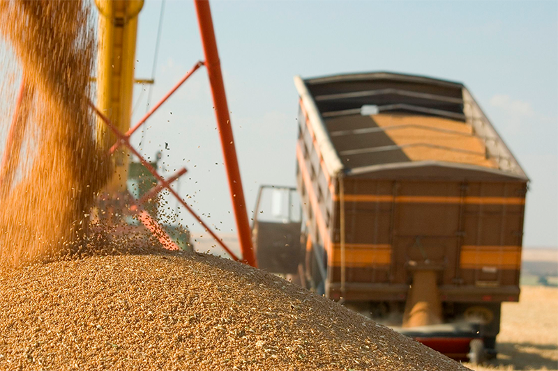 Logistica do agronegócio